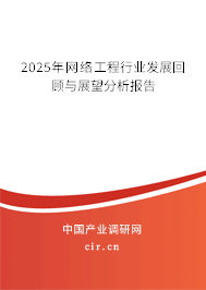 2025年網絡工程行業發展回顧與展望分析報告