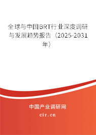 全球與中國BRT行業深度調研與發展趨勢報告（2025-2031年）