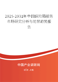2024-2030年中國保險箱服務市場研究分析與前景趨勢報告