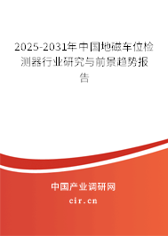 2025-2031年中國地磁車位檢測器行業研究與前景趨勢報告