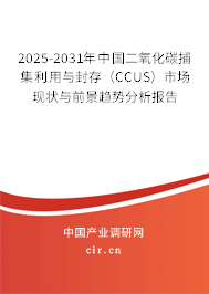 2025-2031年中國二氧化碳捕集利用與封存（CCUS）市場現狀與前景趨勢分析報告