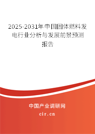2025-2031年中國固體燃料發電行業分析與發展前景預測報告
