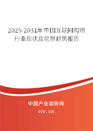 2025-2031年中國互聯網購物行業現狀及前景趨勢報告