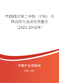 中國精對苯二甲酸（PTA）市場調研與發展前景報告（2025-2031年）