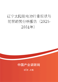 遼寧太陽能電池行業現狀與前景趨勢分析報告（2025-2031年）