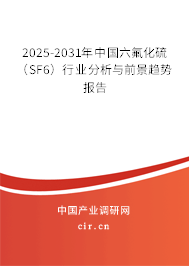 2025-2031年中國六氟化硫（SF6）行業分析與前景趨勢報告