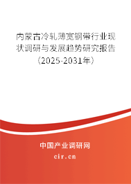 內(nèi)蒙古冷軋薄寬鋼帶行業(yè)現(xiàn)狀調(diào)研與發(fā)展趨勢研究報告（2025-2031年）