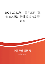 2025-2031年中國PVDF（聚偏氟乙烯）行業現狀與發展趨勢