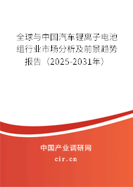 全球與中國汽車鋰離子電池組行業(yè)市場分析及前景趨勢報告（2025-2031年）