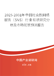2025-2031年中國社會性網絡服務（SNS）行業現狀研究分析及市場前景預測報告