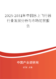 2025-2031年中國水上飛行器行業發展分析與市場前景報告