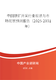 中國鐵礦開采行業(yè)現(xiàn)狀與市場前景預(yù)測報告（2025-2031年）