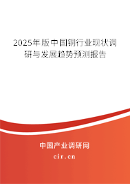 2025年版中國銅行業現狀調研與發展趨勢預測報告