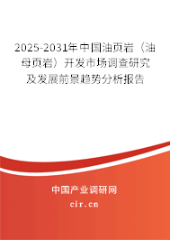 2025-2031年中國油頁巖（油母頁巖）開發市場調查研究及發展前景趨勢分析報告