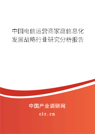 中國電信運營商家庭信息化發展戰略行業研究分析報告