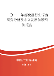 二〇一二年孵化器行業(yè)深度研究分析及未來發(fā)展前景預(yù)測報(bào)告