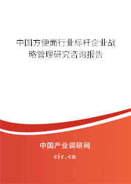 中國方便面行業標桿企業戰略管理研究咨詢報告