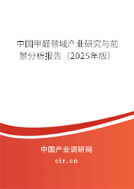 中國甲醛領域產業研究與前景分析報告（2025年版）