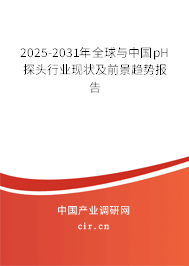 2025-2031年全球與中國pH探頭行業現狀及前景趨勢報告