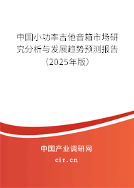 中國小功率吉他音箱市場研究分析與發展趨勢預測報告（2025年版）