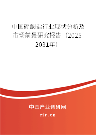 中國硼酸鹽行業現狀分析及市場前景研究報告（2025-2031年）