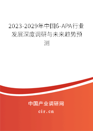 2023-2029年中國6-APA行業發展深度調研與未來趨勢預測