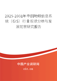 2025-2031年中國地理信息系統（GIS）行業現狀分析與發展前景研究報告