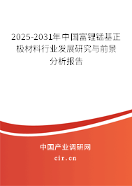 2024-2030年中國富鋰錳基正極材料行業發展研究與前景分析報告