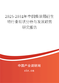 2025-2031年中國集裝箱衍生物行業(yè)現(xiàn)狀分析與發(fā)展趨勢研究報(bào)告