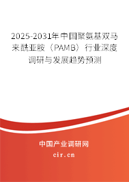 2025-2031年中國聚氨基雙馬來酰亞胺（PAMB）行業深度調研與發展趨勢預測