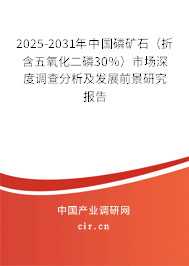 2025-2031年中國磷礦石（折含五氧化二磷30％）市場深度調查分析及發展前景研究報告