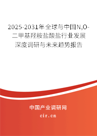 2025-2031年全球與中國N,O-二甲基羥胺鹽酸鹽行業發展深度調研與未來趨勢報告