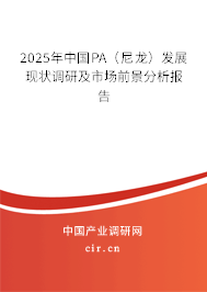 2025年中國PA（尼龍）發展現狀調研及市場前景分析報告