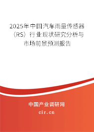 2025年中國汽車雨量傳感器（RS）行業現狀研究分析與市場前景預測報告