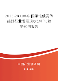 2025-2031年中國柔性觸覺傳感器行業(yè)發(fā)展現(xiàn)狀分析與趨勢預(yù)測報告