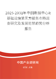 2025-2031年中國數據中心it基礎設施第三方服務市場調查研究及發展前景趨勢分析報告
