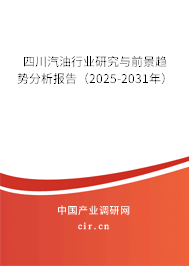 四川汽油行業(yè)研究與前景趨勢分析報告（2025-2031年）