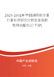 2025-2031年中國通用航空業行業現狀研究分析及發展趨勢預測報告(已下架)