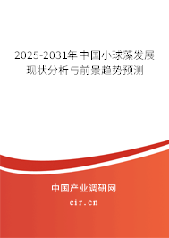 2025-2031年中國小球藻發(fā)展現(xiàn)狀分析與前景趨勢預測