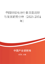 中國鋅錳電池行業深度調研與發展趨勢分析（2025-2031年）