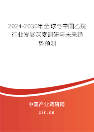 2024-2030年全球與中國乙烷行業發展深度調研與未來趨勢預測