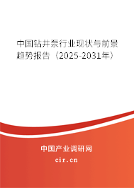 中國鉆井泵行業現狀與前景趨勢報告（2025-2031年）