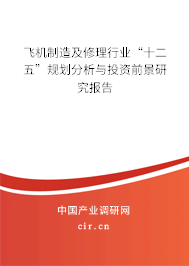 飛機制造及修理行業“十二五”規劃分析與投資前景研究報告