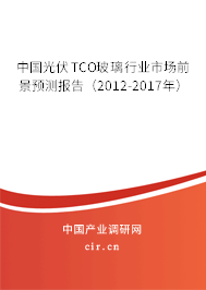 中國(guó)光伏TCO玻璃行業(yè)市場(chǎng)前景預(yù)測(cè)報(bào)告（2012-2017年）