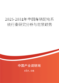 2025-2031年中國車輛配電系統(tǒng)行業(yè)研究分析與前景趨勢