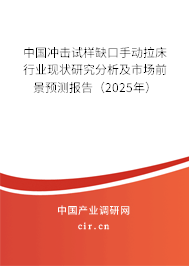 中國沖擊試樣缺口手動拉床行業(yè)現(xiàn)狀研究分析及市場前景預(yù)測報告（2025年）