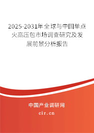 2025-2031年全球與中國單點火高壓包市場調查研究及發展前景分析報告