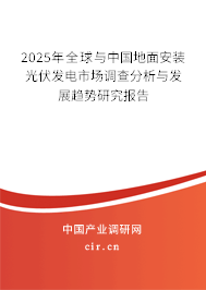 2025年全球與中國地面安裝光伏發電市場調查分析與發展趨勢研究報告