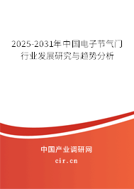 2025-2031年中國電子節氣門行業發展研究與趨勢分析
