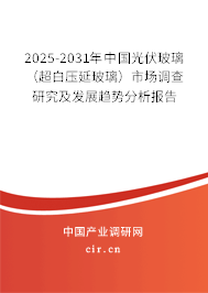 2025-2031年中國(guó)光伏玻璃（超白壓延玻璃）市場(chǎng)調(diào)查研究及發(fā)展趨勢(shì)分析報(bào)告